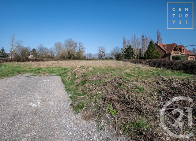 terrain à vendre - 1238.0 m2 - COLLERET - 59 - NORD-PAS-DE-CALAIS - Century 21 Art-Immo